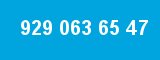 929 063 65 47
